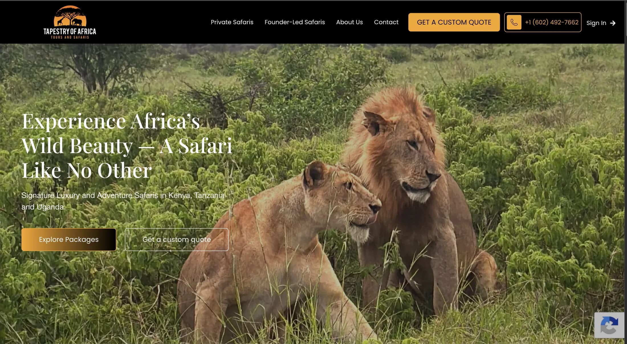 Tapestry of Africa homepage